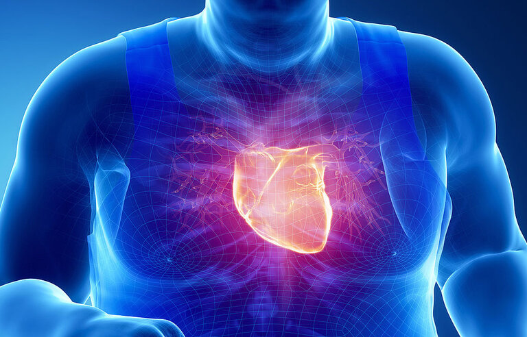SPIRonolactone In the Treatment for Heart Failure (SPIRIT-HF-DZHK8)