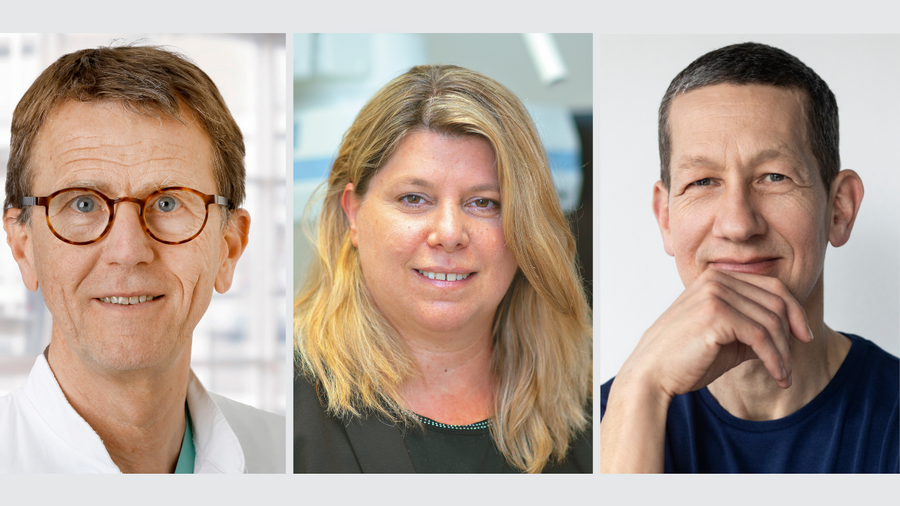 Three people in portrait shots, side by side: Heribert Schunkert in a lab coat and with glasses, Rabea Hinkel with blonde, shoulder-length hair and a dark green top, and Holger Gerhardt in a dark T-shirt, his hand resting on his chin, against a light-coloured background.