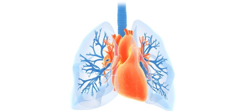 PASSION - Phosphodiesterase-5 inhibition in patients with combined pre- and postcapillary pulmonary hypertension due to heart failure with preserved ejection fraction (PASSION)
