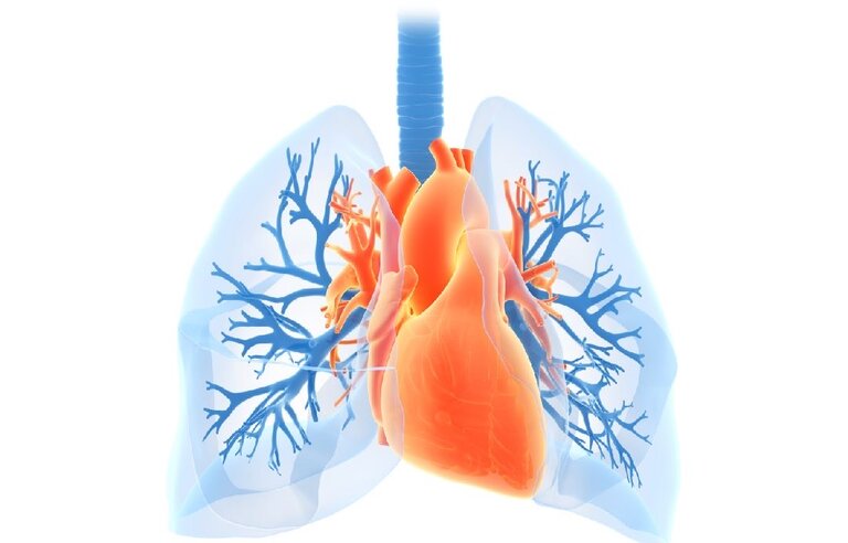 Phosphodiesterase-5 inhibition in patients with combined pre- and postcapillary pulmonary hypertension due to heart failure with preserved ejection fraction (PASSION)