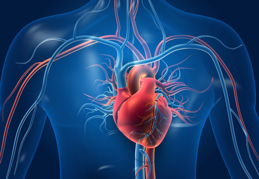 Anatomical illustration of a human heart in a blue-tinted body, with arteries and veins shown.