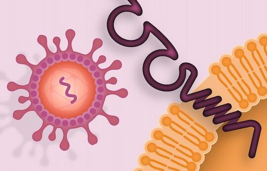 CAR-Inhibitoren zur Behandlung eines Myokardinfarktes