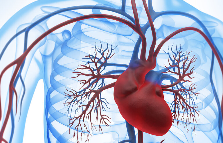 Early versus emergency left ventricular assist device implantation in patients awaiting cardiac transplantation (VAD-DZHK3)