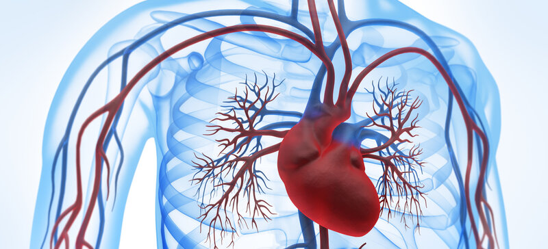 VAD-DZHK3 - Early versus emergency left ventricular assist device implantation in patients awaiting cardiac transplantation (VAD-DZHK3)