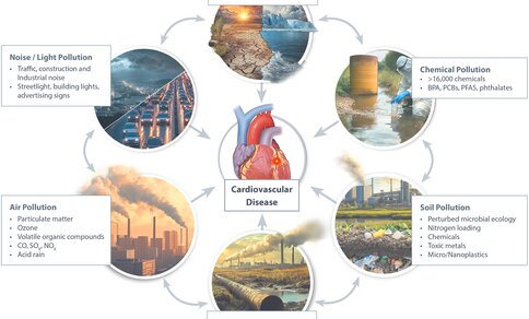 Circular diagram showing environmental factors leading to cardiovascular disease: climate change, chemical, soil, air, and noise/light pollution.