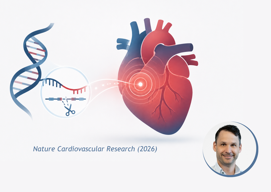 Illustration showing a DNA double helix, a gene-editing scissor symbol and a stylised heart with a glowing red point, alongside the text "Nature Cardiovascular Research (2026)" and a circular portrait photo of Maarten M. G. van den Hoogenhof