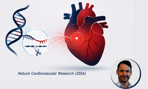 Illustration showing a DNA double helix, a gene-editing scissor symbol and a stylised heart with a glowing red point, alongside the text "Nature Cardiovascular Research (2026)" and a circular portrait photo of Maarten M. G. van den Hoogenhof