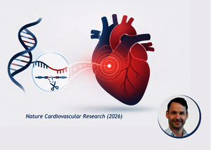Illustration showing a DNA double helix, a gene-editing scissor symbol and a stylised heart with a glowing red point, alongside the text "Nature Cardiovascular Research (2026)" and a circular portrait photo of Maarten M. G. van den Hoogenhof