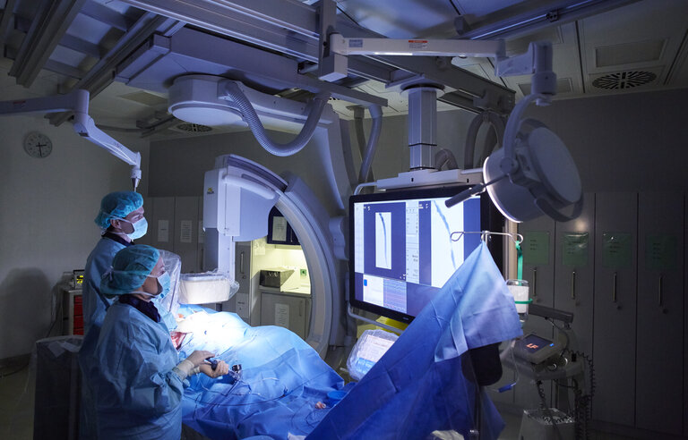 Percutaneous or Surgical Repair In Mitral Prolapse And Regurgitation for >60 Year-olds (PRIMARY)