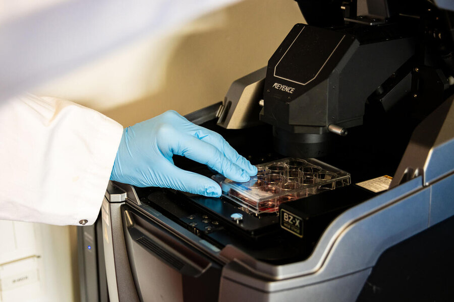 [Translate to English A scientist in a white lab coat, wearing blue disposable gloves, places a transparent multiwell plate into a Keyence microscope. The device appears to be used for analysing biological samples or cell cultures. The scene takes place in a laboratory environment and the focus is on the precise handling of the samples. Ein Wissenschaftler in einem weißen Laborkittel, der blaue Einweghandschuhe trägt, platziert eine transparente Multiwell-Platte in ein Mikroskop der Marke Keyence. Das Gerät scheint für die Analyse von biologischen Proben oder Zellkulturen verwendet zu werden. Die Szene spielt sich in einem Laborumfeld ab und der Fokus liegt auf der präzisen Handhabung der Proben.
