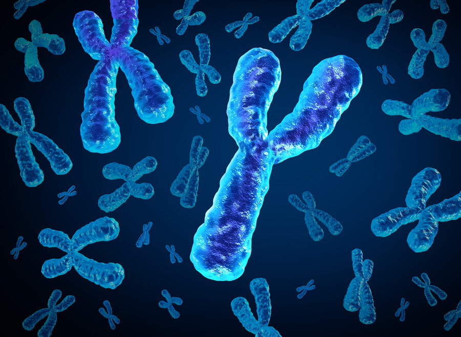 3D representation of several chromosomes in bright blue and violet colours on a dark background. A particularly large Y chromosome is in the foreground, while other X and Y chromosomes are distributed in the background.