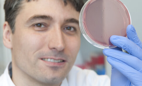 A scientist in a white lab coat, it is Prof Daniel Reinhardt, is holding a petri dish with a reddish substance in his right hand, which is covered with a blue glove. He looks into the camera and smiles slightly. The surroundings suggest a laboratory; blurred laboratory utensils can be seen in the background. 