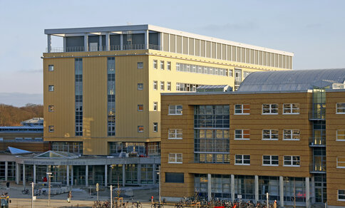 Modern academic building with yellow and brown facades, large windows, and bicycles parked outside on a sunny day.