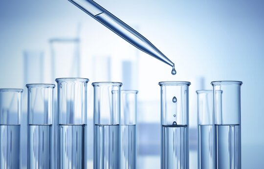 Kardiale Erkrankungen verursachende Mutationen im Eph/Ephrin-Signalweg