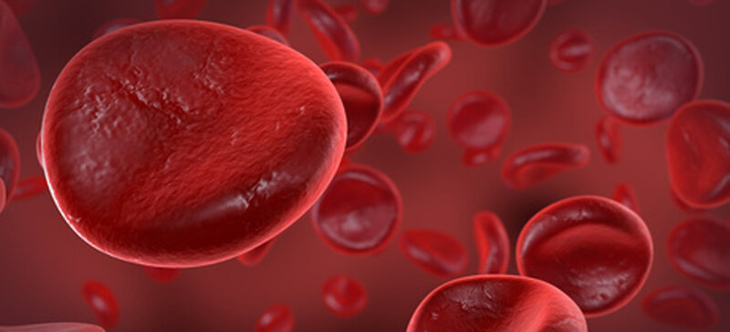 ISAR-REACT 5 - Prospective, randomized trial of ticagrelor versus prasugrel in patients with acute coronary syndrome (ISAR-REACT 5)