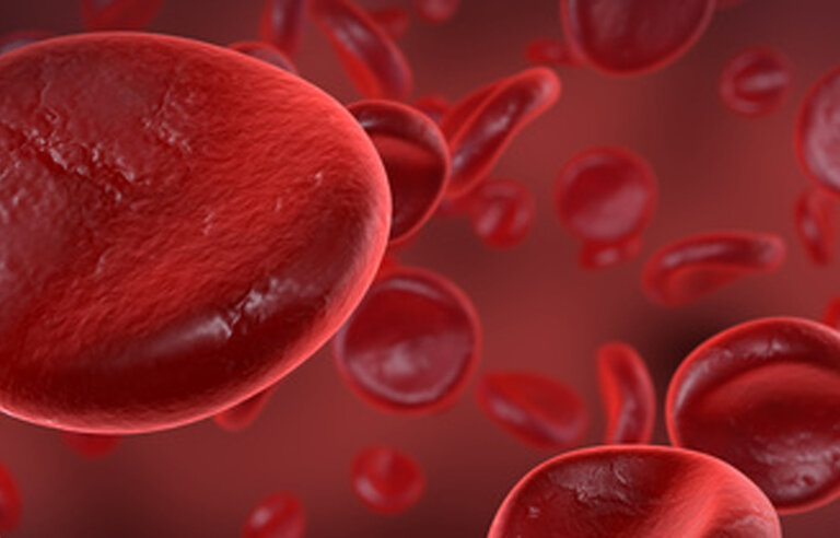 Prospective, randomized trial of ticagrelor versus prasugrel in patients with acute coronary syndrome (ISAR-REACT 5)