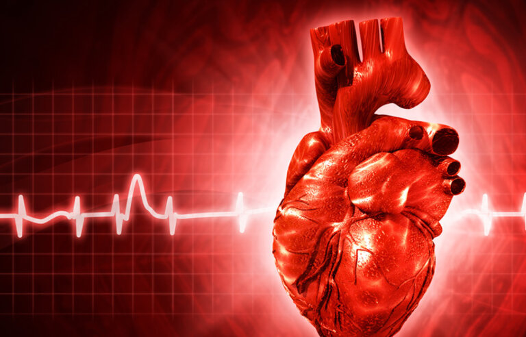 Non-vitamin K antagonist oral anticoagulants in patients with atrial high rate episodes (NOAH-AFNET 6)
