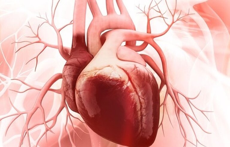 Randomized Trial of TAVI versus SAVR in Patients with Symptomatic Severe Aortic Valve Stenosis and Intermediate Risk of Mortality (DEDICATE-DZHK6)