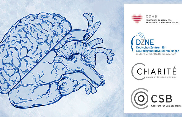 Prediction of Acute Coronary Syndrome in Acute Ischemic Stroke (PRAISE-DZHK19 I DZNEB001)
