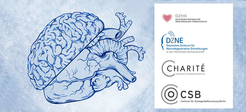 PRAISE-DZHK19 I DZNEB001 - Prediction of Acute Coronary Syndrome in Acute Ischemic Stroke (PRAISE-DZHK19 I DZNEB001)