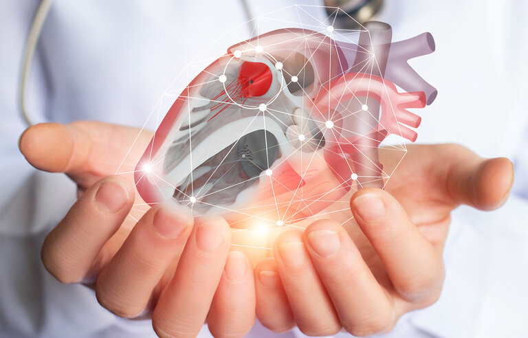 Tricuspid Intervention in Heart Failure (TRICI-HF-DZHK24)