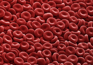 Highly magnified, electron microscope image of numerous red blood cells showing their characteristic biconcave, disc-shaped form.