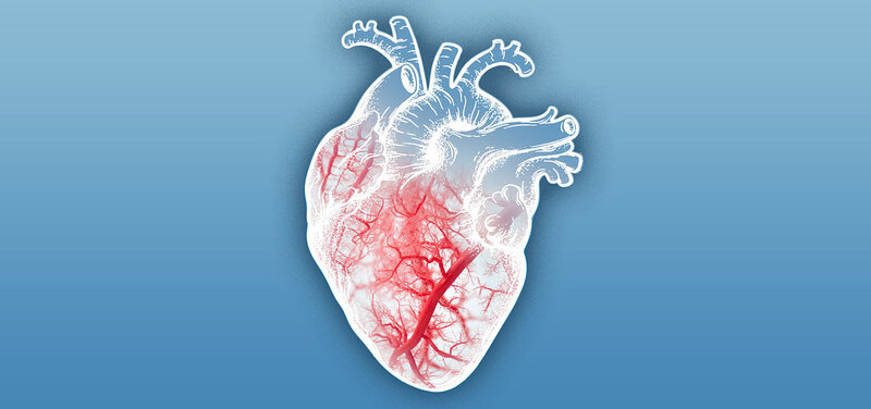 EXAMINE-CAD-DZHK22 - First prospective randomized trial to examine a differential therapeutic response in symptomatic patients with non-obstructive coronary artery disease after coronary physiological testing (EXAMINE-CAD-DZHK22)