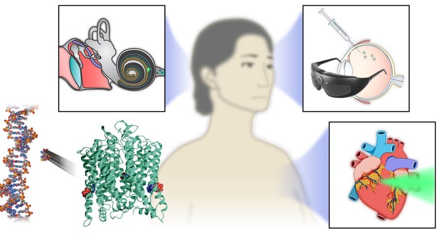 Diagram showing a central human figure surrounded by illustrations of an ear, eye with device, DNA strand, protein structure, and heart, representing various biomedical technologies.