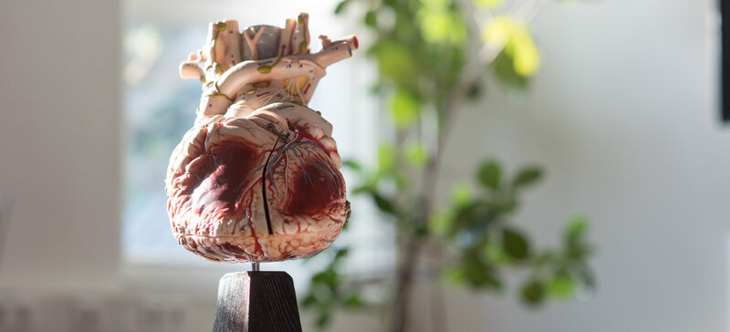 CTSN-TVR-DZHK14 - Evaluating the benefit of concurrent tricuspid valve repair during mitral surgery (CTSN-TVR-DZHK14)