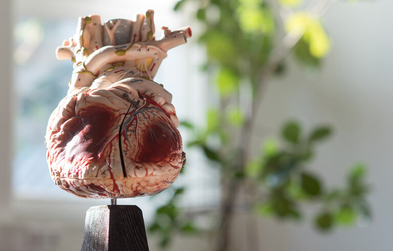 Evaluating the benefit of concurrent tricuspid valve repair during mitral surgery (CTSN-TVR-DZHK14)
